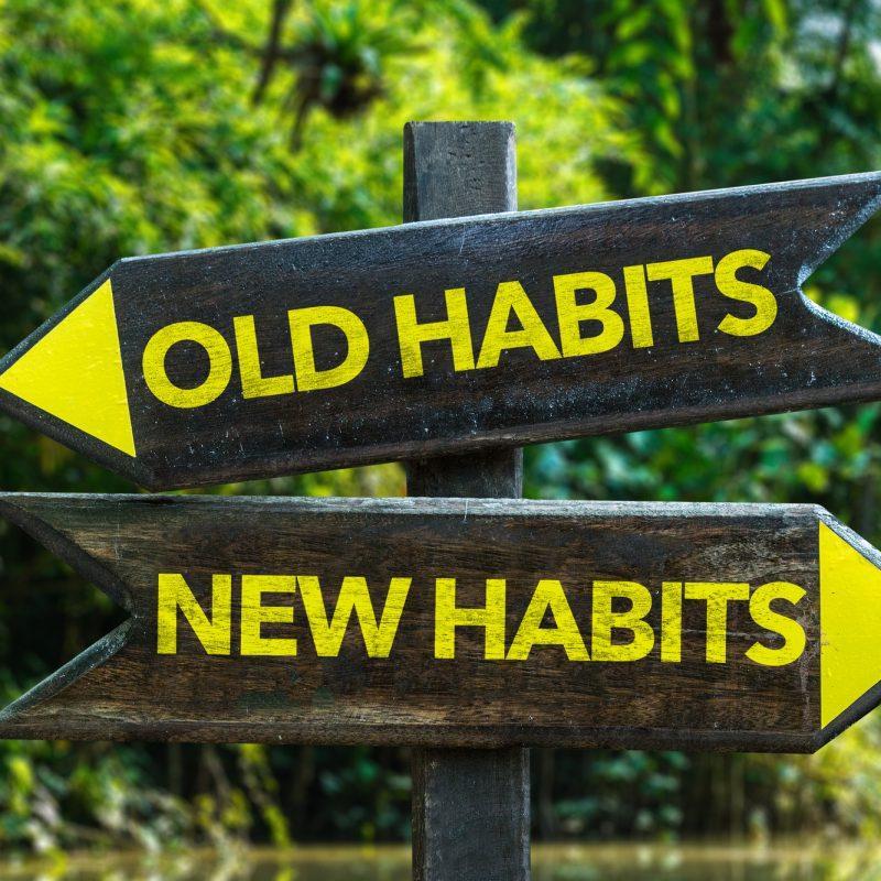 How habits are formed in the brain emily watson books