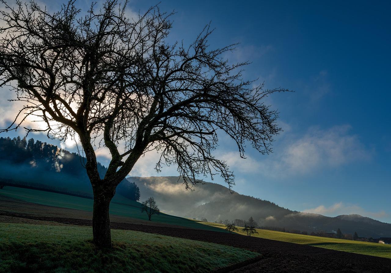 Exploring Wu Wei Philosophy A Guide To Effortless Progress