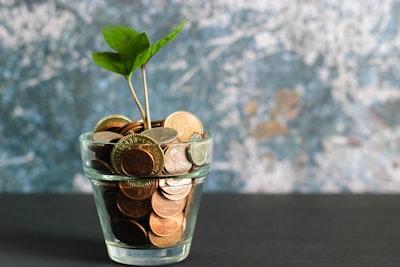 Money-and-abundance-the-complete-guide-emily-watson-books
